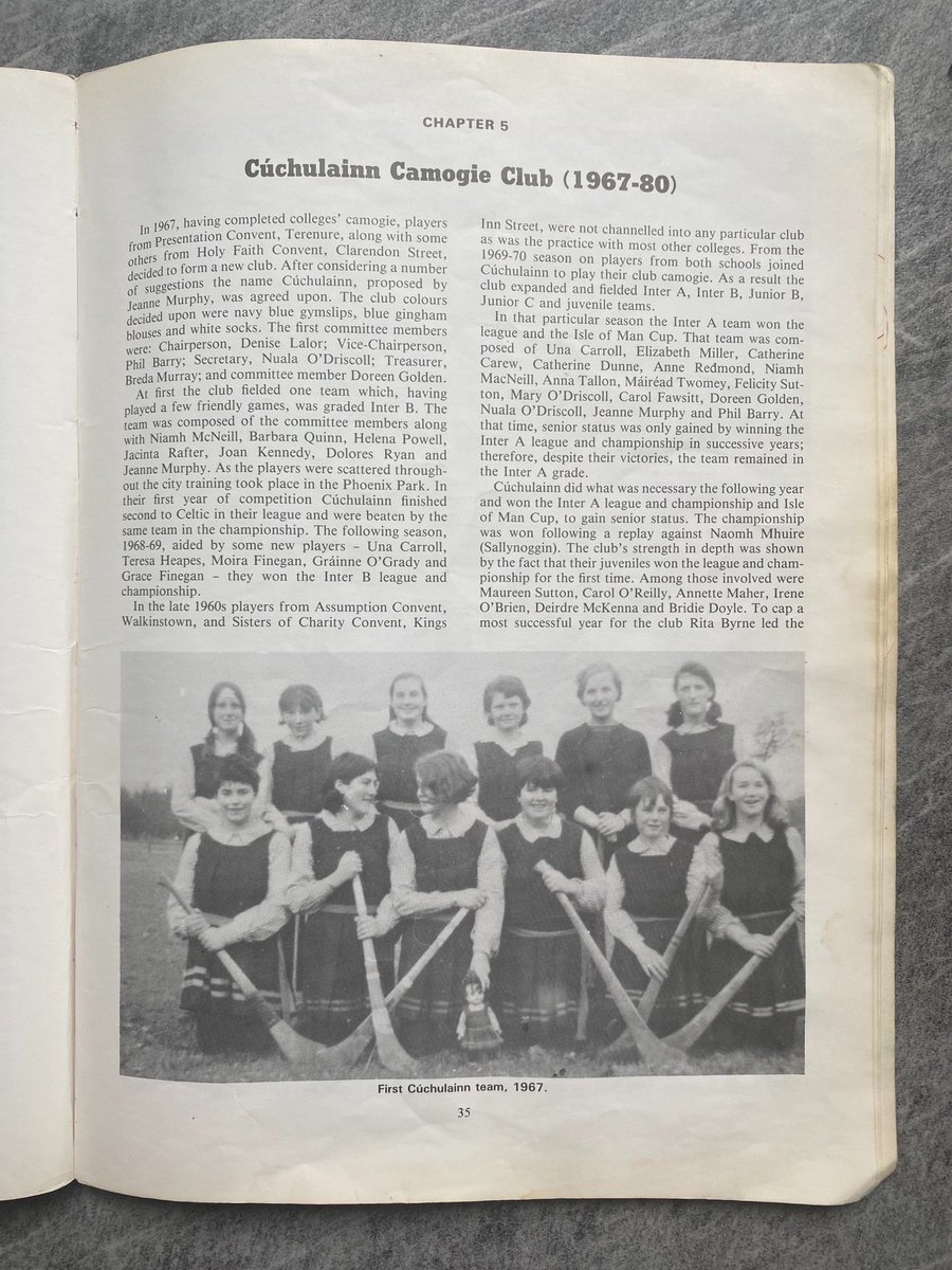 Dublin GAA Programme Collector tweet media