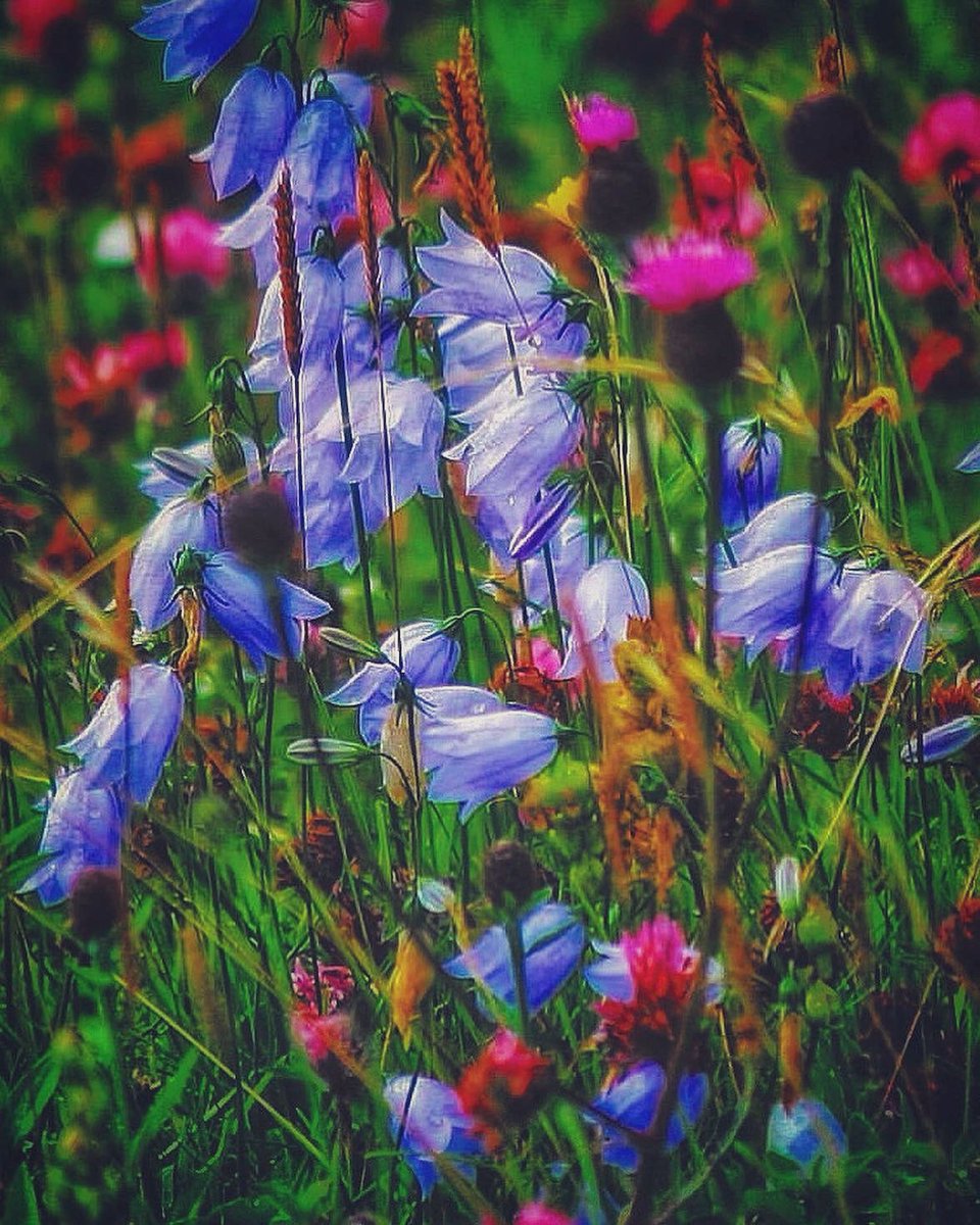 DaliMach tweet media