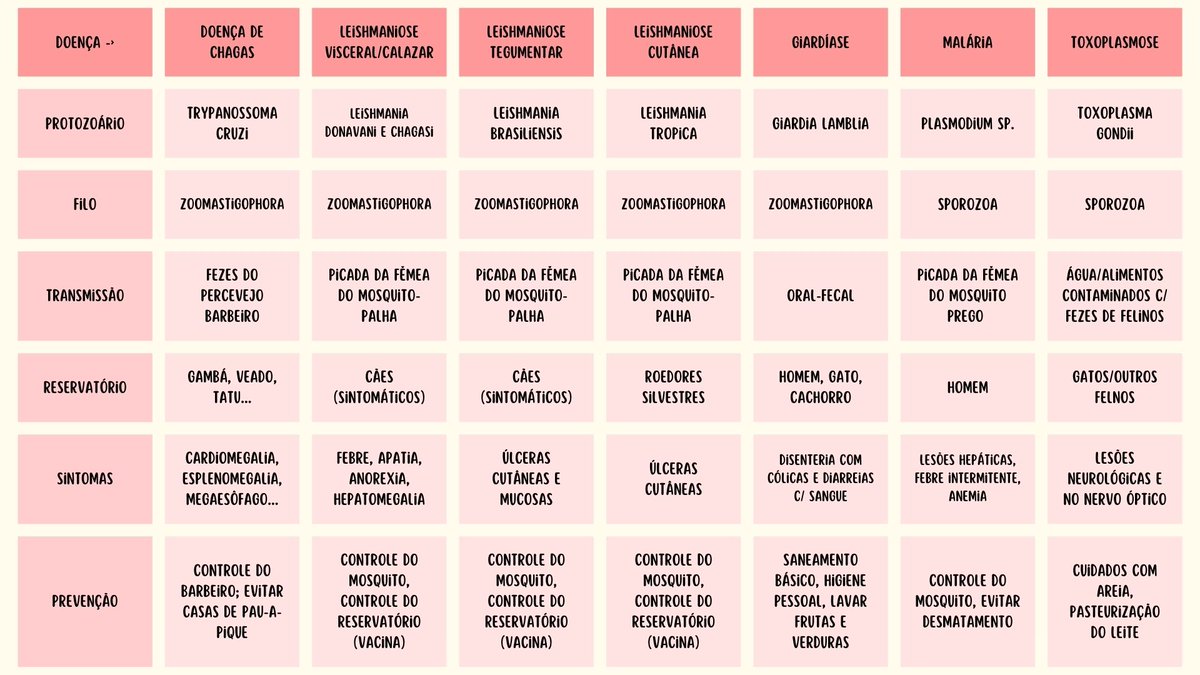 MELdicina's tweet image. MINI REVISÕES PARA O ENEM- PROTOZOÁRIOS E DOENÇAS CAUSADAS POR PROTOZOÁRIOS + explicação:
- ciliados não causam doenças significativas em humanos, existe a balantidíase que é semelhante a giardíase
- rizópodes, importante lembrar da amebíase. Também é semelhante a giardíase,…