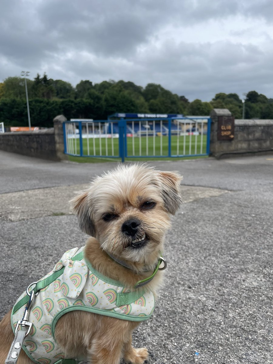 Owen Pullar tweet media