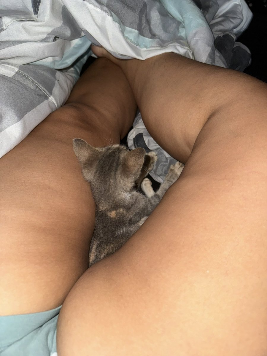 Ojitos Chiquititos* 🦁🖤 tweet media