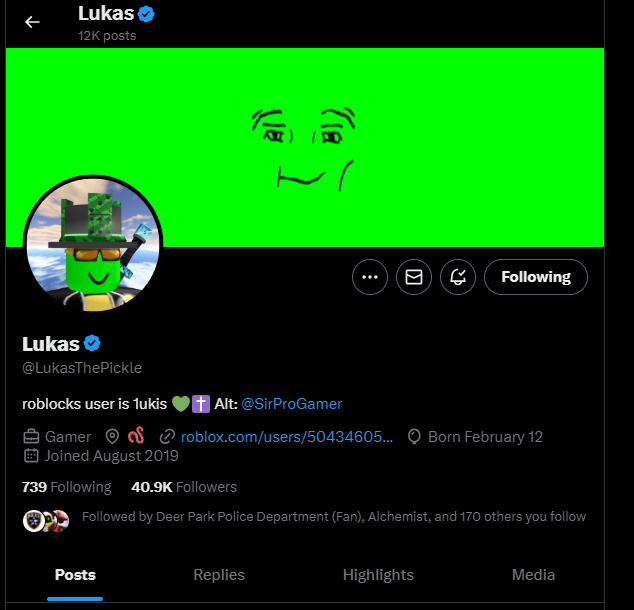 starrytwinkle tweet media