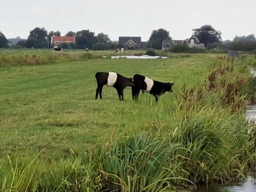 Maarten Molenaar tweet media
