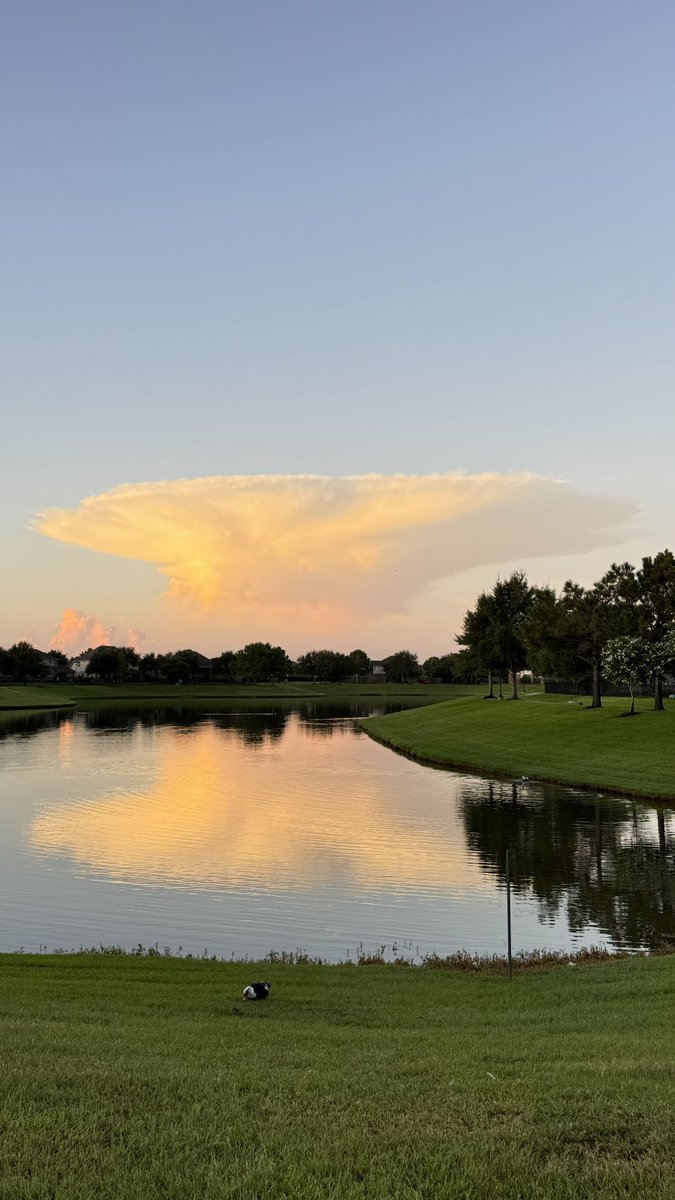 SleepAfter's tweet image. We just got nuked 😳