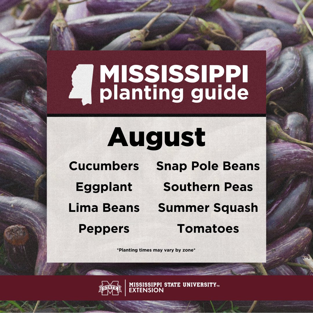 MSU Extension tweet media