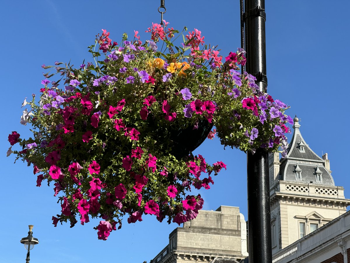 🌸 We're adding a splash of colour to Paddington with over 300 flower pots, planters, hanging baskets and railing troughs provided by the BID! A big thank you to our contractor <a href="/WindowflowersUK/">Windowflowers</a>  for making our area bloom. 🌼✨ #PaddingtonNow