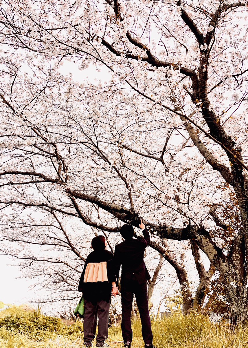 cisco_quartz's tweet photo. 結婚したった。。

別に報告することでもないかもだけど
ちょっと奥さん安心するかなって

まあ1ミリもモテキャラじゃないからねえ
自惚れなのかもしれないけどね

これからも音楽は頑張る！
引き続きよろしくです！！ https://t.co/yrMI8XSjYM