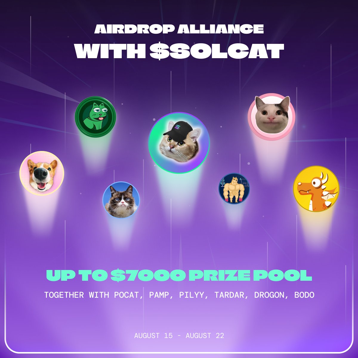 CatSolHat $SOLCAT tweet media