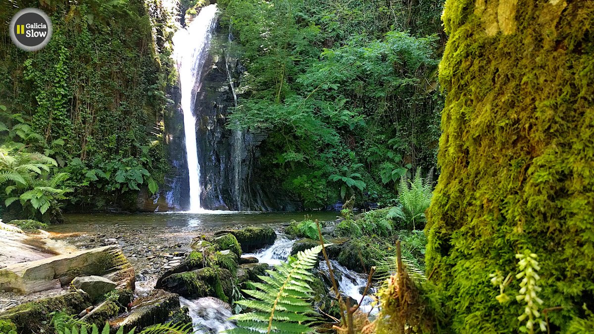 Salto do Coro 
📍 Mondoñedo 
#galiciaslow