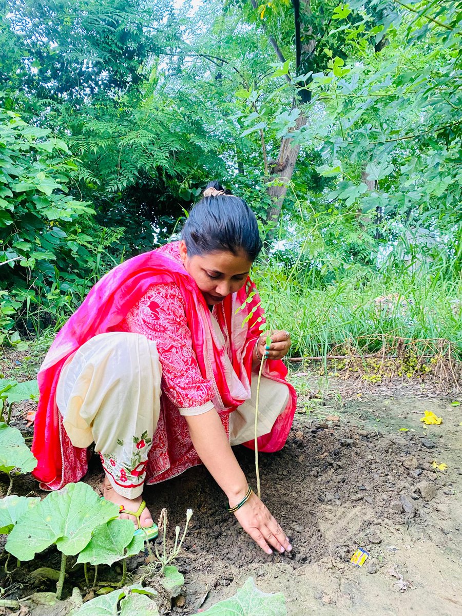 VannuNavv's tweet photo. पेड़ लगाओ वातावरण को स्वस्थ बनाओ।Saint Ram Rahim ji की शिक्षाओं पर चलते हुए मैने भी आज #MegaTreePlantation में हिस्सा लिया है और अपने ग्रह को बचाने के लिए यह मेरा छोटा सा योगदान है। #PlantATree https://t.co/GVRcRJLBL1