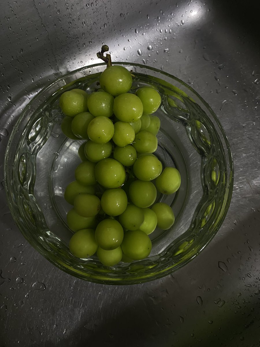 eumaize tweet picture