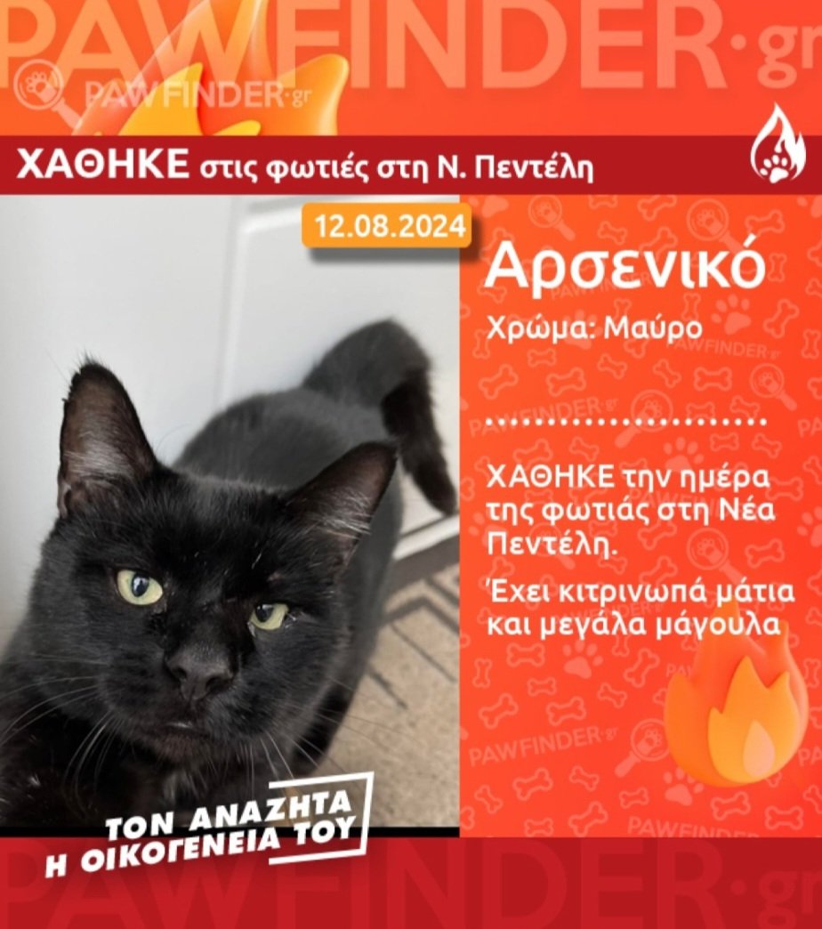Chrisafina1's tweet photo. #φωτιά #χάθηκε https://t.co/AWX63CYnY0