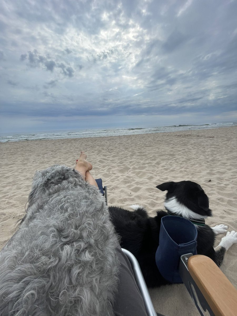 kiwithedoge's tweet photo. Life is better with a dog in your lap and a friend by your side. 🐶🐾#BeachLife #DogHug #WorkHard
#BeachWork #DogsOfX https://t.co/2uhBh1YcCV