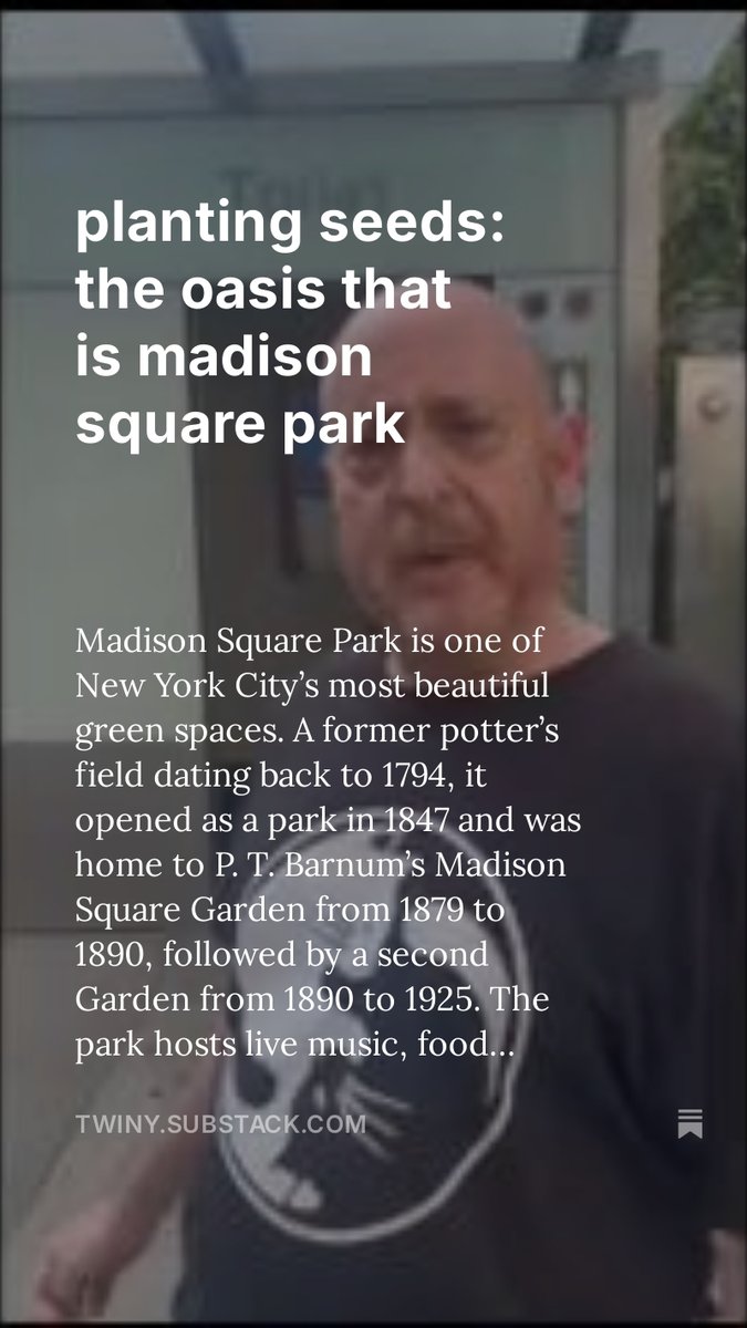 ThisWeekInNewYork tweet media