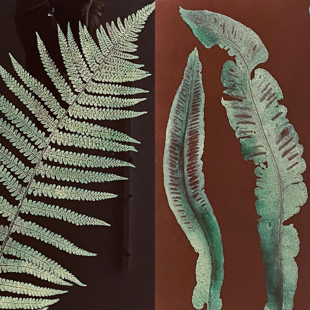 Latest BLOG: Rebecca Jewell tells us how art is a powerful voice for environmental issues, and about her class with Sandy Ross Sykes at The Gallery Green and Stone.
stcuthbertsmill.blogspot.com/2024/08/artist…
#somersetpaper #stcuthbertsmill #filagroup