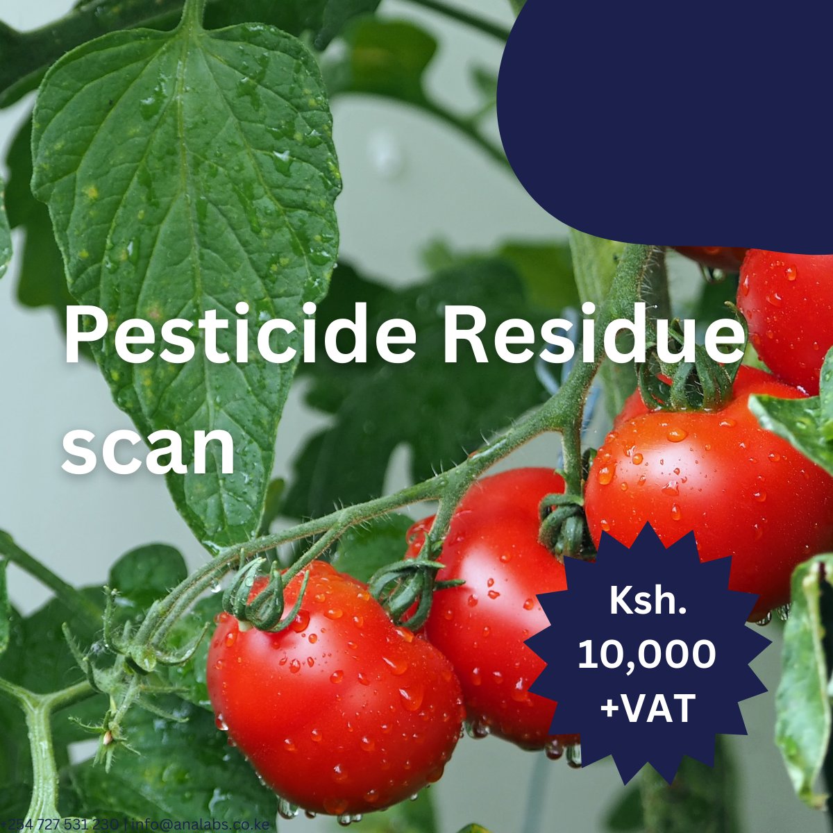 Over 34% of #pesticides registered in Kenya are banned or restricted in Europe due to health risks, including links to cancer. Only 1 in 6 farmers wear protective gear while applying these chemicals. It's time for urgent action to protect our health and #environment!