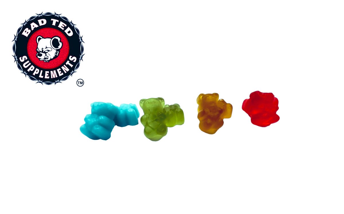 Bad Ted Yacht Club tweet media