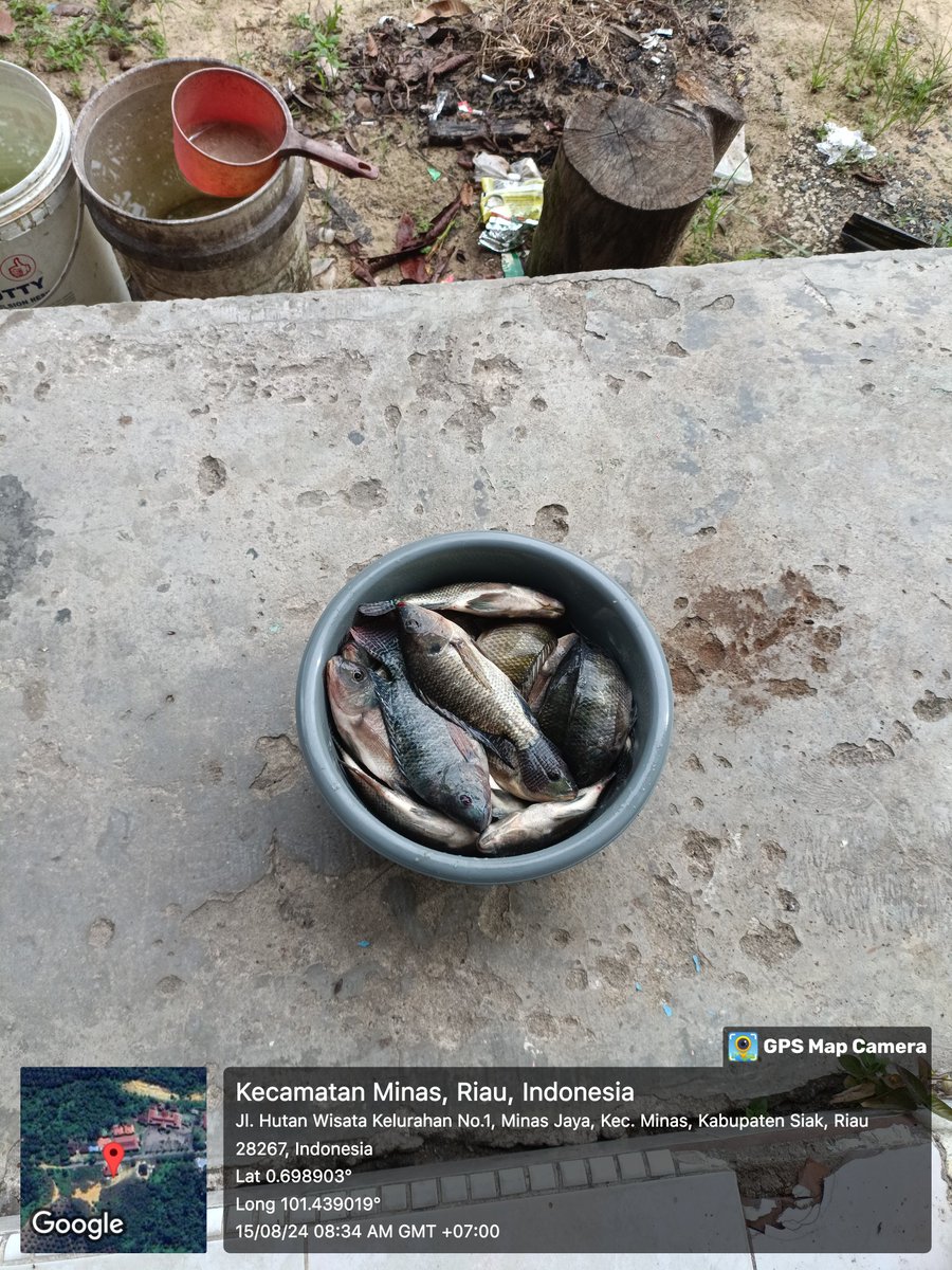 Ridi Mukhtar tweet media