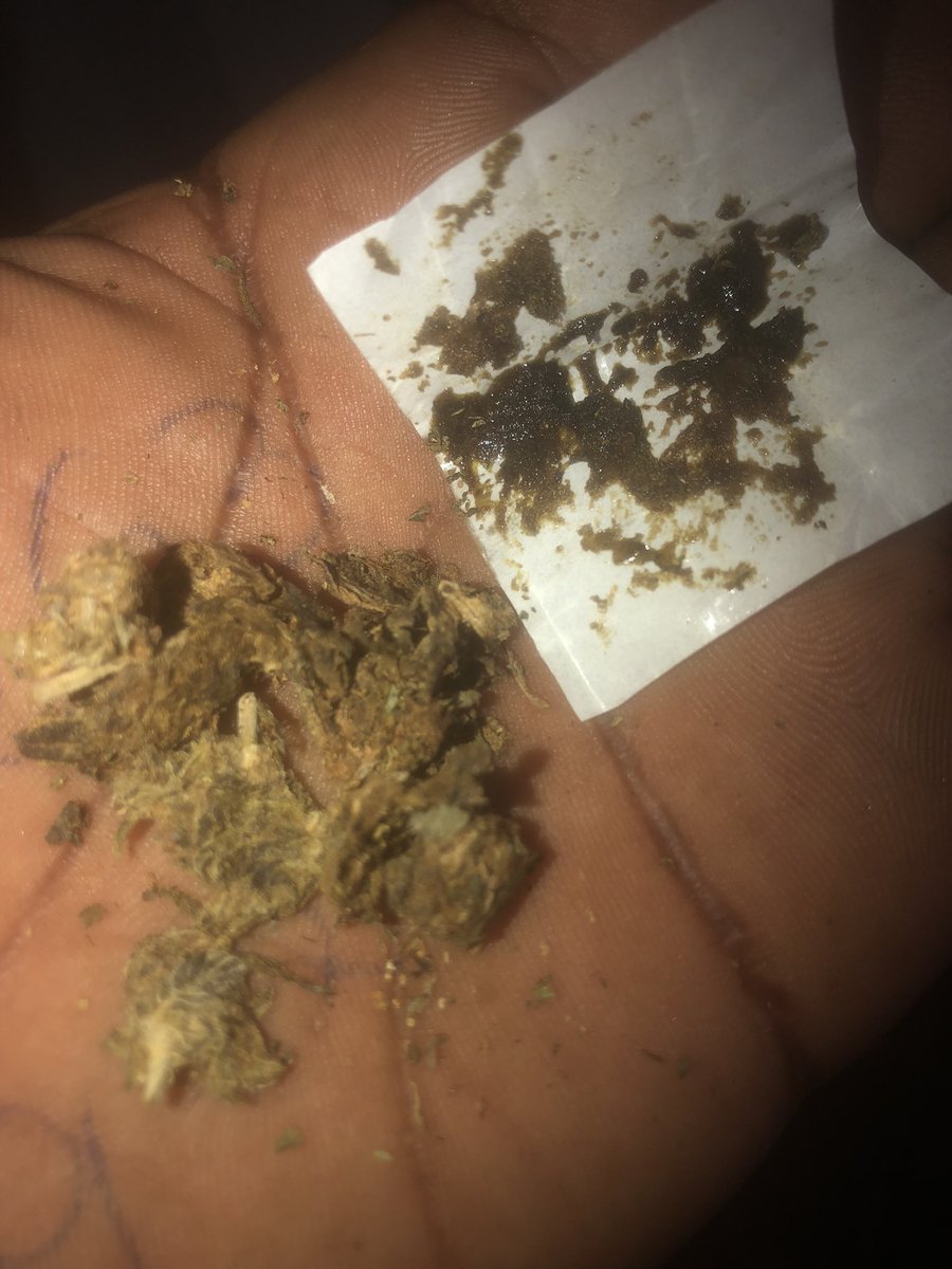 Deita 🐶🔥🔥🔥