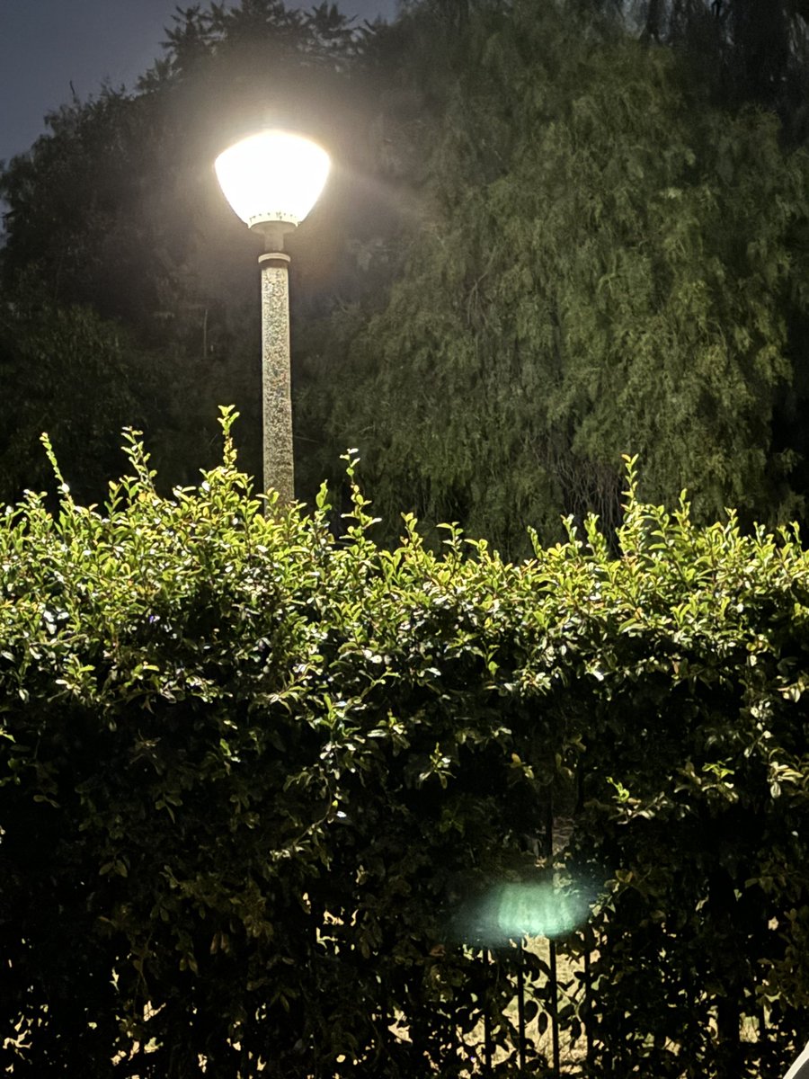 downhill towards memory lane