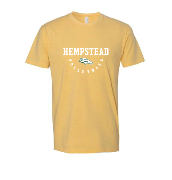 Hempstead Volleyball tweet media