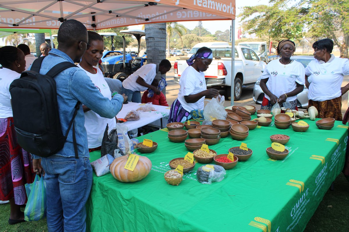 Throwback to Day 2 of the #RegionalAgroecologyConference2024 Highlight 2/2: The #MarketPlace event was awesome. Two weeks later, the impact is still resonating. <a href="/CGIAR/">CGIAR</a> <a href="/CGIARenviro/">CGIAR Multifunctional Landscapes</a> #AgroecologyInitiative farmers from Murehwa attended the event and showcased their products.