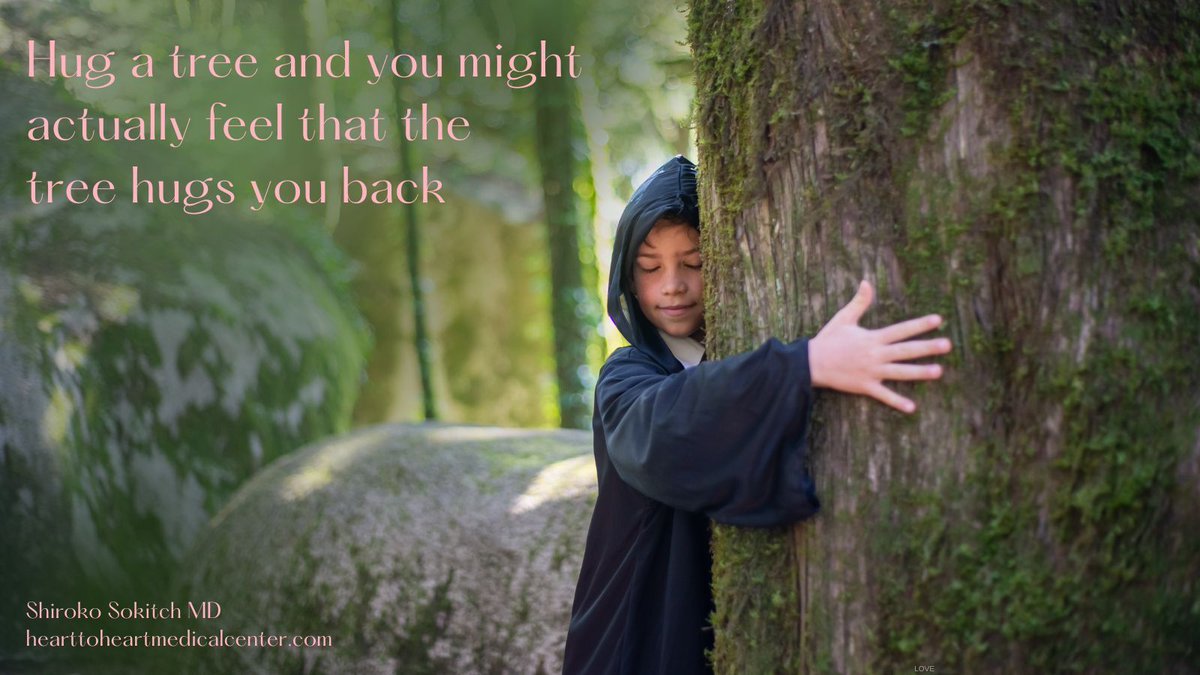 DrShiroko's tweet photo. There are many studies that show that interacting with trees and plants can help with #depression, #concentration, and #selfdiscipline, and can even reduce #headaches.🌳 Visit my website for helpful resources at https://t.co/wSHt2Z92e7 💞 #NatureHeals #TreeHug #HugATree #Healing https://t.co/b0bBtBbr5x