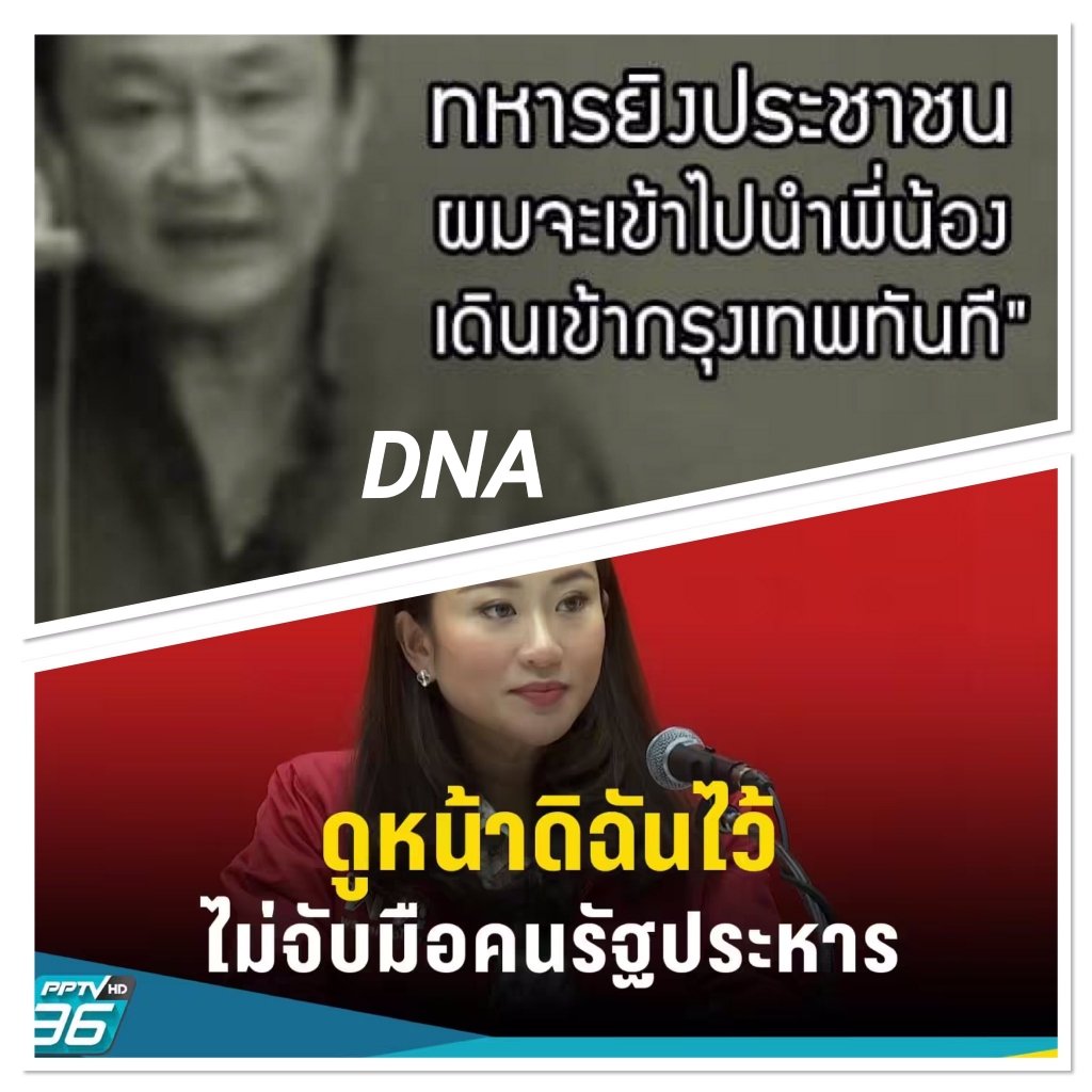 AmaratJeab's tweet photo. DNA /ผู้สืบสันดาน https://t.co/lZjnyceZ8H