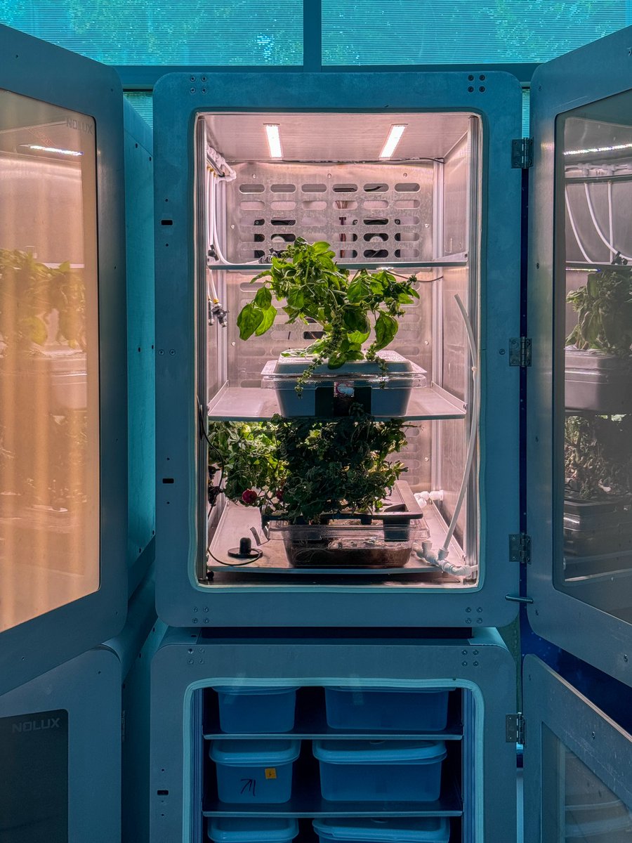 Feng Jiao tweet media