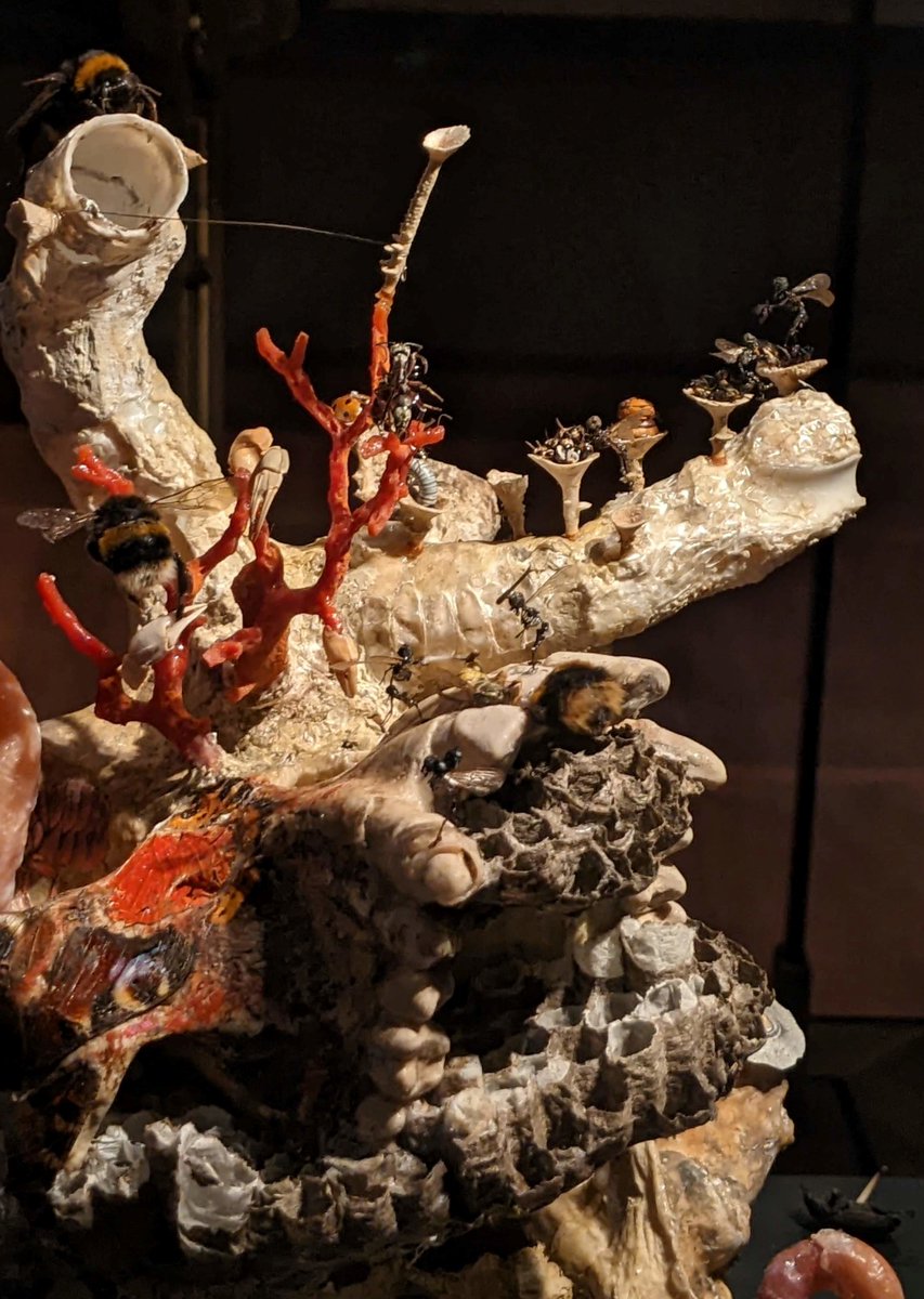 daniellearnaud's tweet image. Tessa Farmer is included in ‘Kafka: Making of an Icon’, marking the 100th anniversary of the author&apos;s death at Bodleian Libraries.

Featured on this post is ‘Insect Enemies’.

The exhibition continues until 27 October 2024.

visit.bodleian.ox.ac.uk/kafka