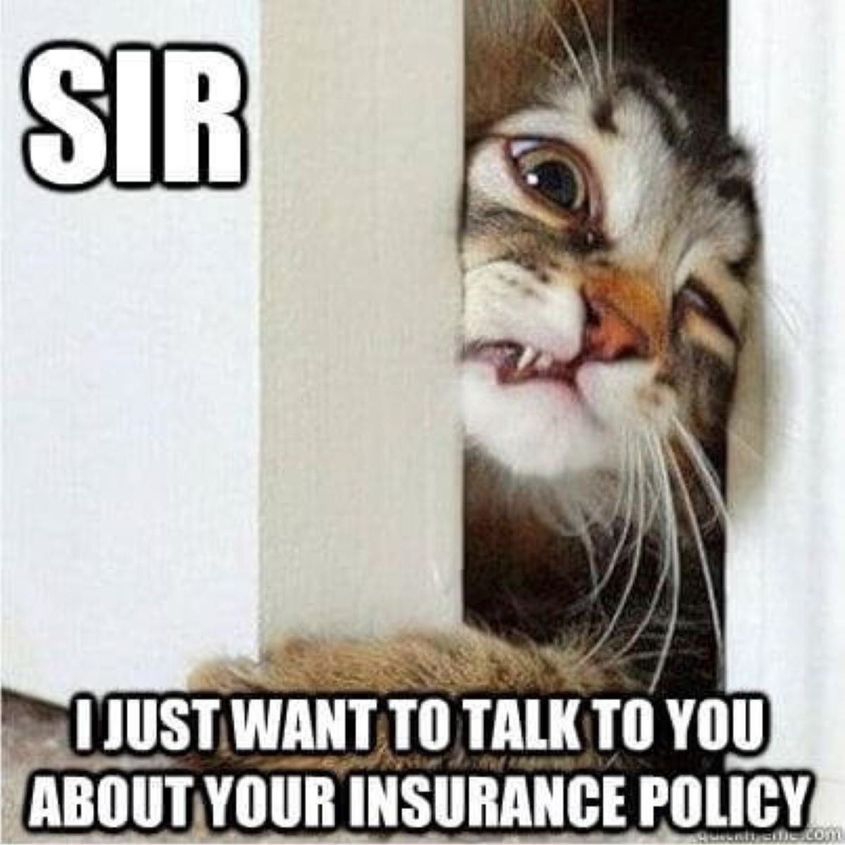 ErieMutual's tweet image. TIRED OF PUSHY SALES PEOPLE?

We get it. Our team offers a consultive approach to your insurance where you ask the questions and we provide the answers, it's that simple. Real people, real service with a local insurer. 

#insurance #insurancememe