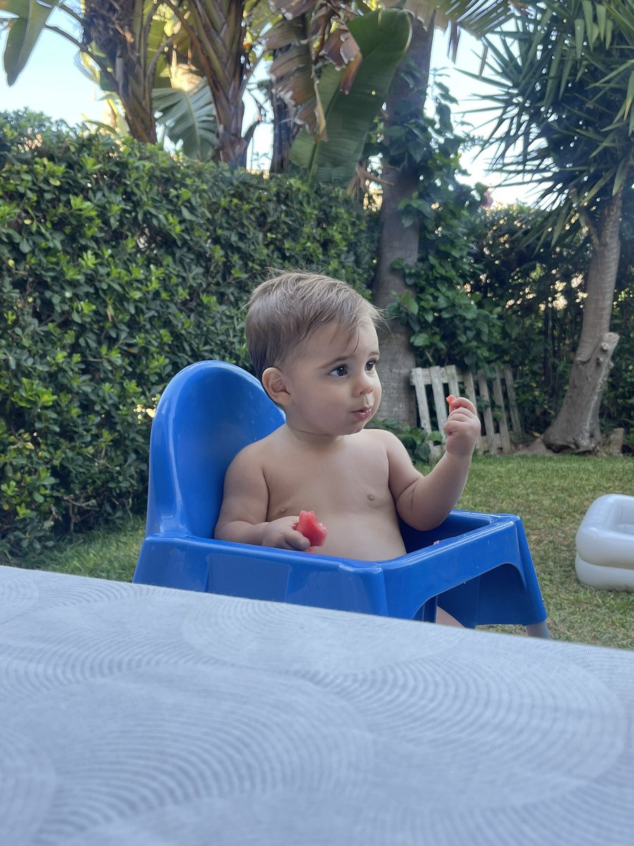 Alicia Domínguez tweet media