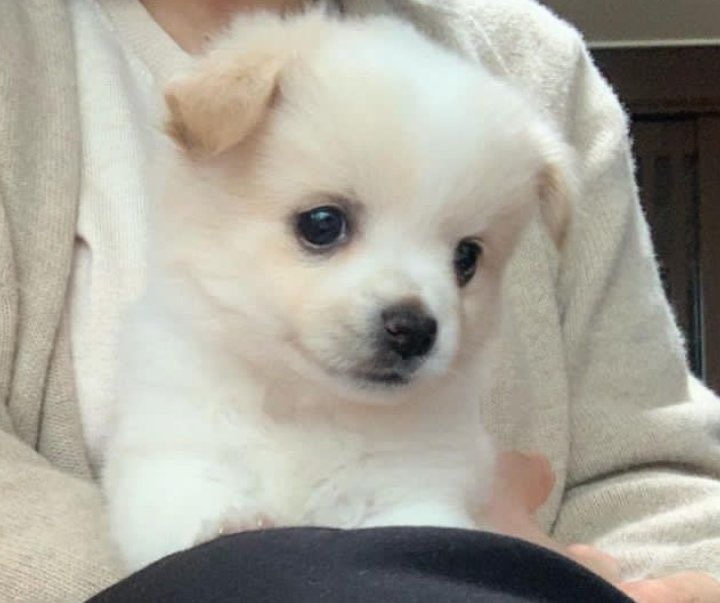 gente onde posso comprar vasos bonitos para plantas no Rio? vasos grandes e médios, de barro ou sei la. que sejam bonitos. tem mto vaso feio