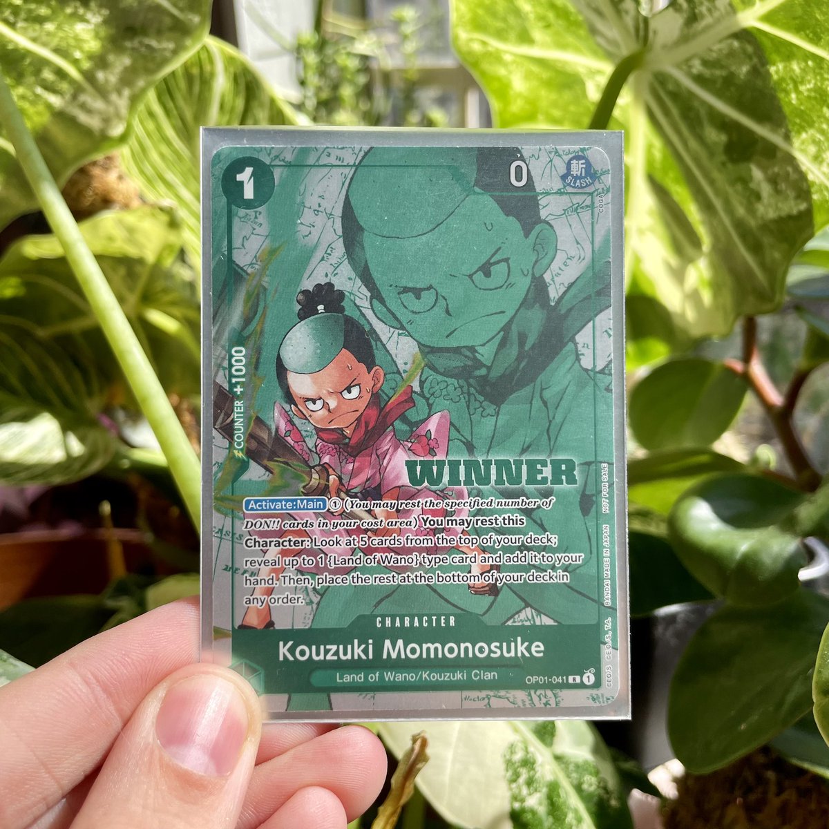 multiplecats's tweet photo. Started playing the One Piece TCG on a whim last month, and then last night I won a 25-player local event. This game is very fun. ☺️ https://t.co/lQlPb5xODV