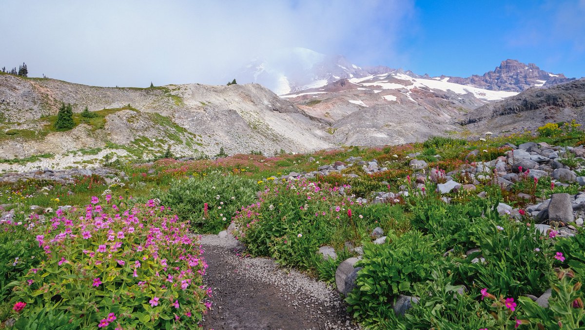 Konval Matin tweet media