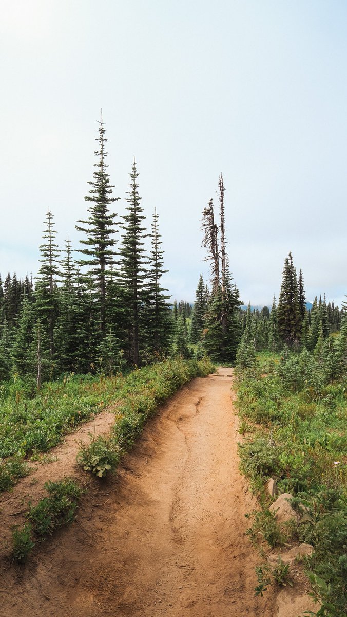 Konval Matin tweet media