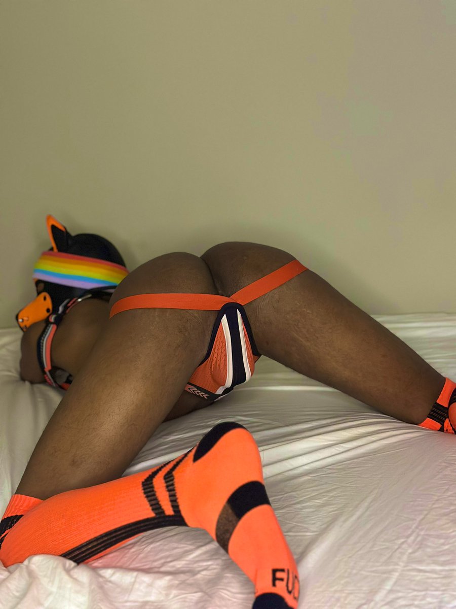 PupGoldfish's tweet photo. Needing to be used😉
#Puppyplay #NSFW https://t.co/2Z1O2G71Ka
