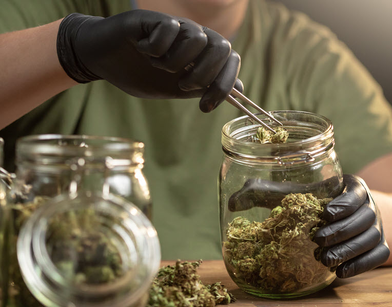 Growingmpls's tweet photo. Want to know how the City of Minneapolis is preparing for cannabis businesses? Join an online session to learn about proposed zoning code changes.
Thursday, Aug. 22 at 10:30 a.m. or Wednesday, Aug. 28 at 4 p.m.
Go to the City's website for more details.
https://t.co/q8PPA5dijM https://t.co/buiumpPYJK