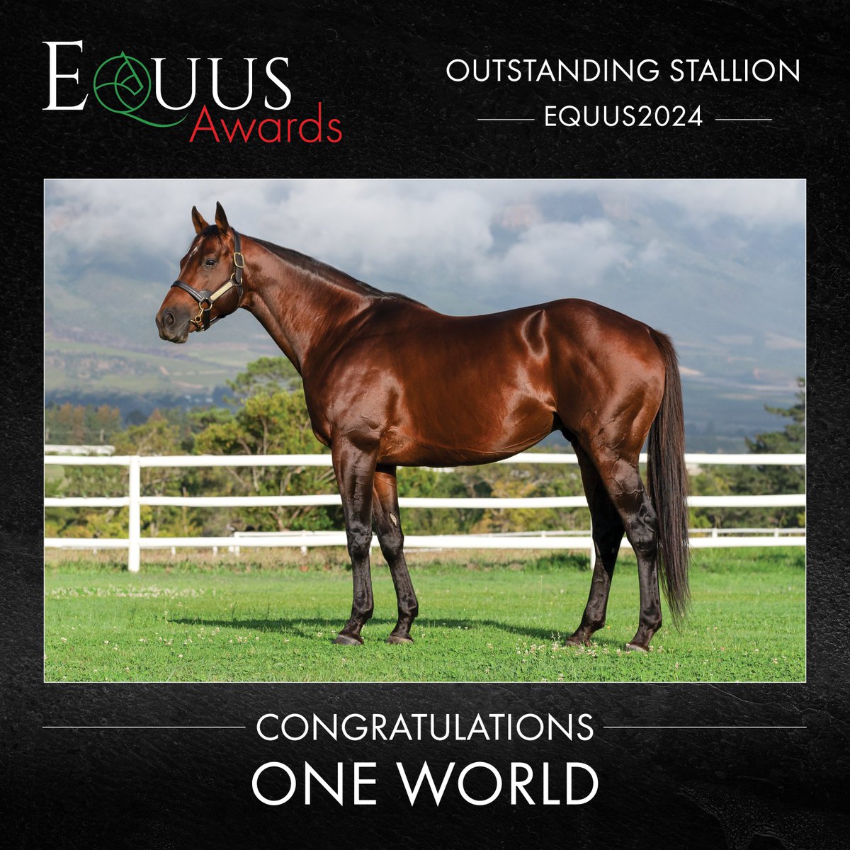 EquusRankings's tweet photo. 2024 Equus Outstanding Stallion

ONE WORLD

#equus2024 https://t.co/yH2BkkdXLp