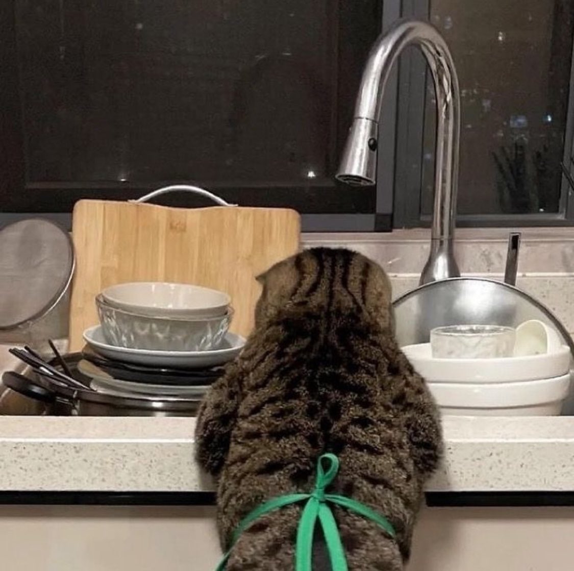 PunchingCat's tweet photo. rent ain’t free! https://t.co/9bUzR9jiqW