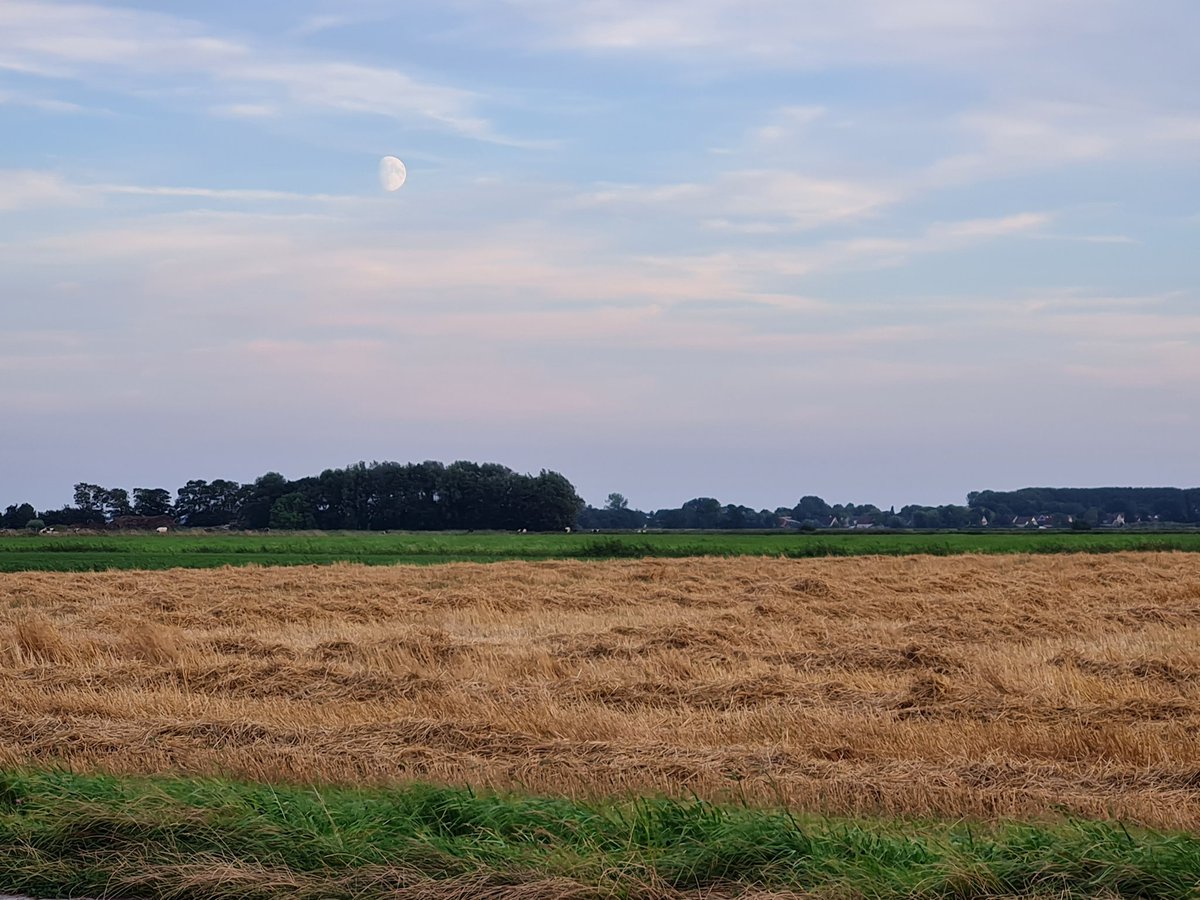 Augustus, oogstmaand #hetbildt #herfstinaantocht