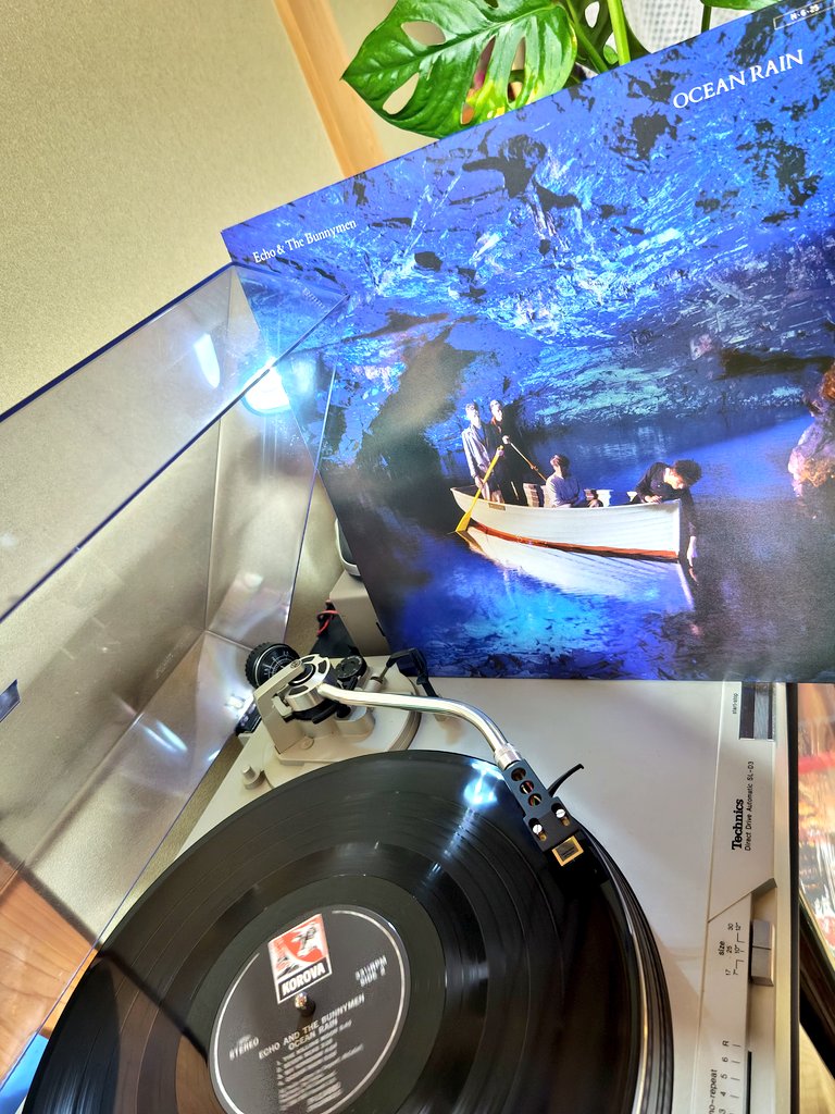 bobbylikesfish's tweet photo. #思わず飾りたくなるようなレコードやCDのジャケット
と言えばエコバニのこちら…
デュラン・デュランやwham! 等のブリティッシュ・インベイジョン勢が大活躍する中で内省的な彼等の音は1984年当時の米国では受けが悪かった気がする…
#echoandthebunnymen
#oceanrain
#vinyl https://t.co/eiXOqgLEj2