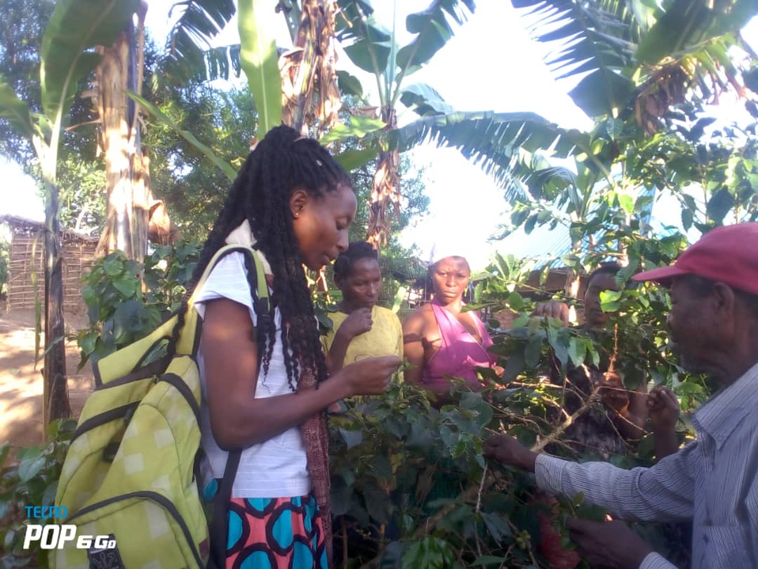 Rwandarocoffee's tweet photo. Eradicating poor agronomic practices, one training at a time!

We're committed to continuous extension services, empowering our farmers with:

#AgronomicExcellence #FarmerEmpowerment #SustainableCoffee #QualityAndQuantity #CooperativeSupport https://t.co/K2B6v6EJiA