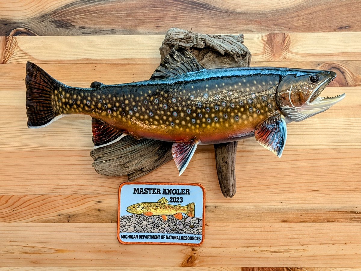 Tim Chilcote tweet media