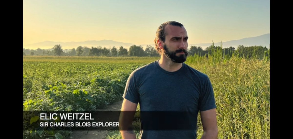 Elic Weitzel tweet media