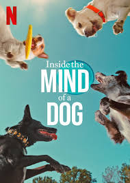 Have you had a chance to check out our Pennovation Works members at the Penn Vet Working Dog Center in the Netflix documentary, ‘Inside the Mind of a Dog’? 
You can watch the documentary here: bit.ly/4fxZyEh