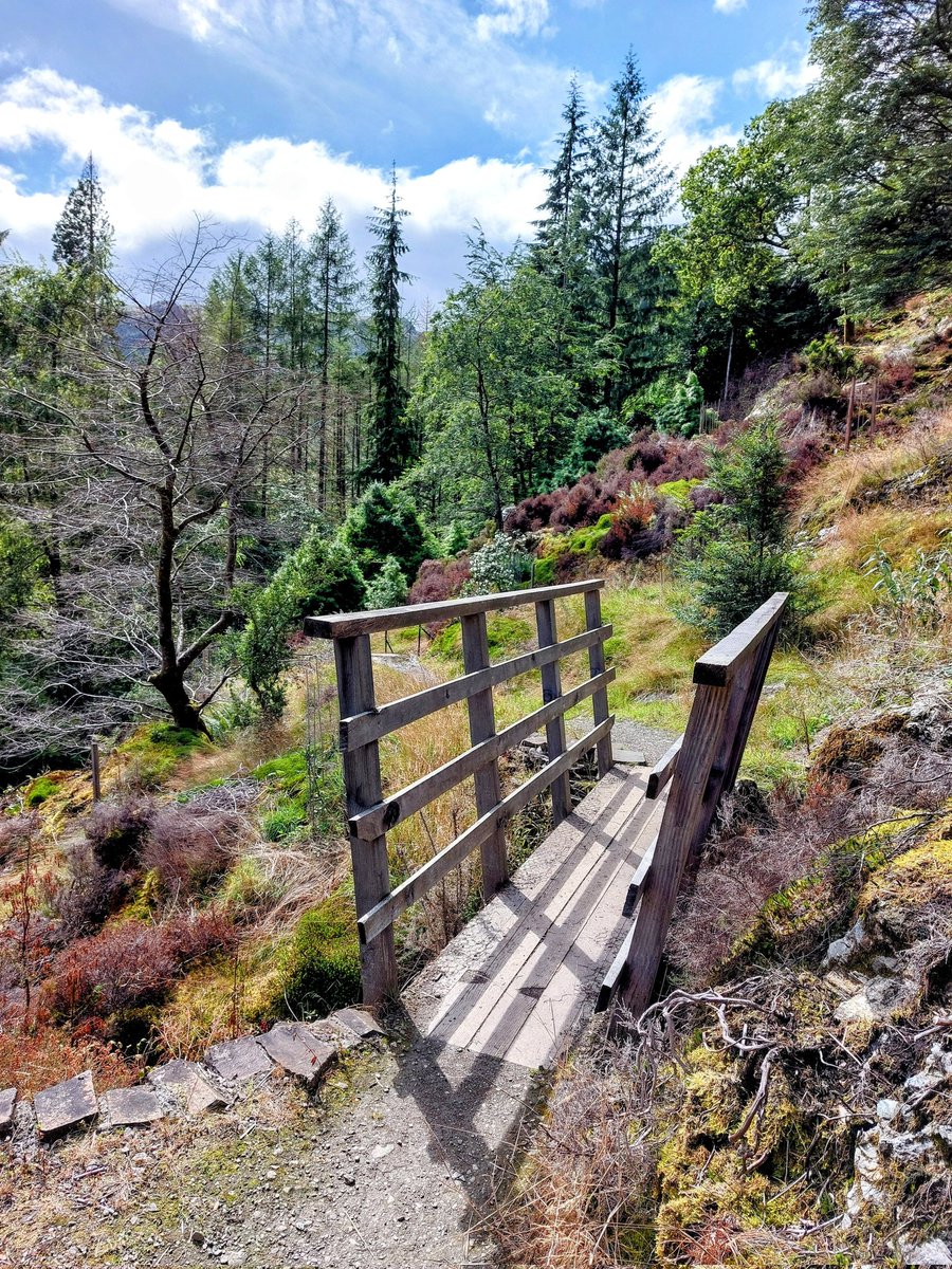 A photo taken in Benmore this week of a quaint bridge straddling a burn. I love views like this &amp; the wonderment of what lies beyond in beautiful Benmore. <a href="/BenmoreBotGdn/">Benmore Botanic Garden</a> <a href="/Argyll_IslesApp/">Argyll and the Isles</a> <a href="/dotn34/">Dot</a> <a href="/dunoonisawesome/">Visit Dunoon and Cowal</a> <a href="/Sybalan/">Sybil Baldwin #TheSpiderWhisperer 🕷</a> @ECHOTrailsCowal