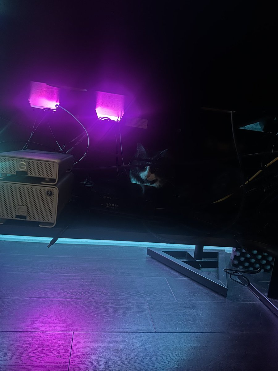 KorotkovAlex's tweet photo. Mixing when suddenly I hear commotion coming from inside the desk. 

Cupcake finds the weirdest hiding places. https://t.co/RE7DvZRNm2