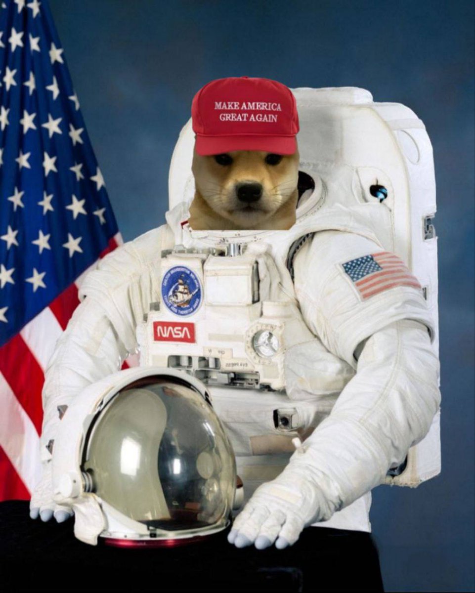 #WIFMAGA ready to skyrocket!

🇺🇸 Make Crypto YUUUGE Again 🇺🇸
