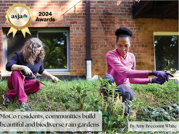 bethesda_today's tweet image. Congratulations to Amy Brecount White for winning the lifestyle category in the American Society of Journalists and Authors (ASJA) 2024 Annual Writing Awards for her piece with Bethesda Magazine! 

#moco360 #bethesdamagazine #asjaawards #conservationlandscaping